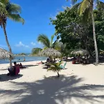 Ti\'Masani