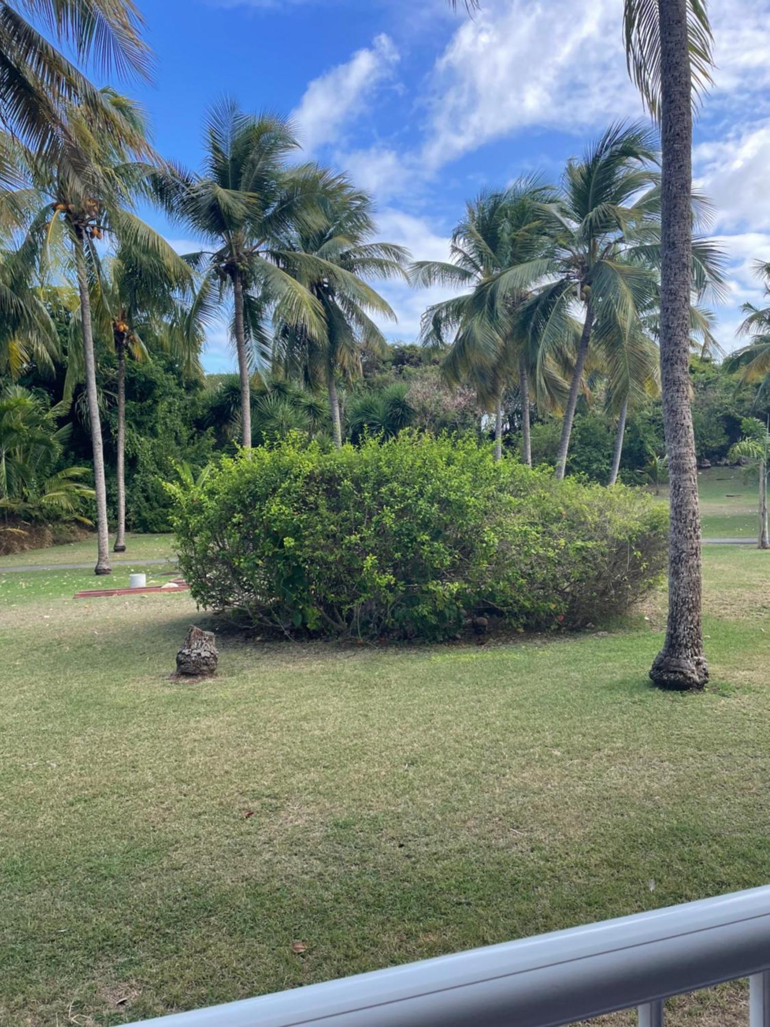 Ti'masani Appartement