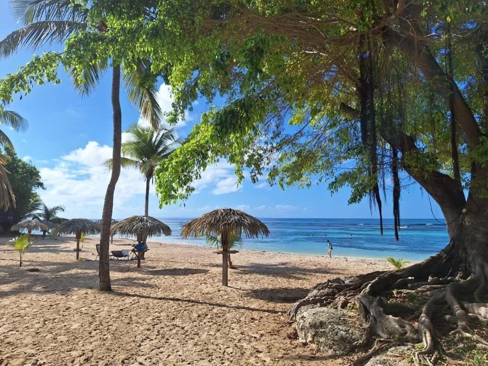 Appartement Ti'masani Saint-Francois (Grande-Terre)